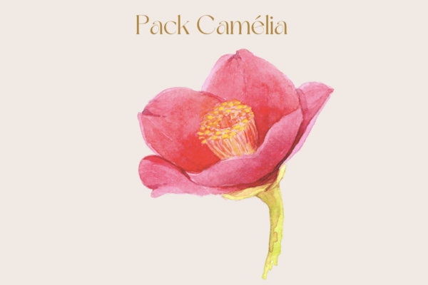 camelia